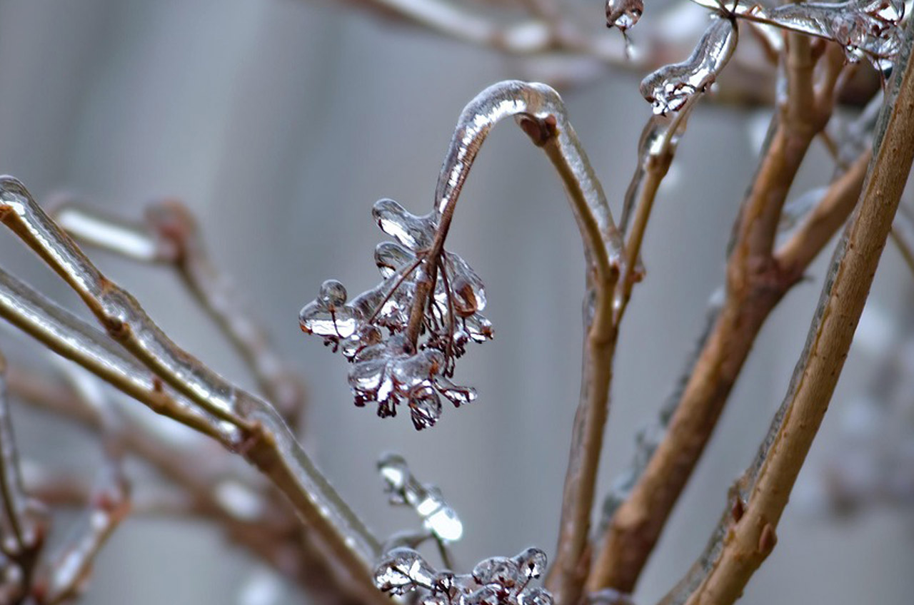 principale_0002_inverno